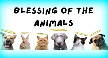 Blessing of the Animals